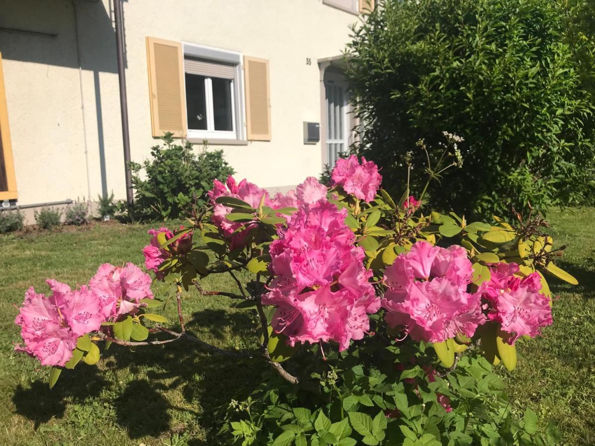 Bergblick Am See Vila Friedrichshafen Exterior foto